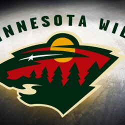 Minnesota Wild Hockey Car Tuning