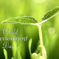World Environment Day Free Computer Desktop Wallpapers