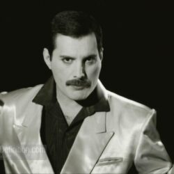 Freddie Mercury HD Desktop Wallpapers