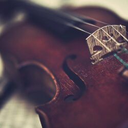 Violin Is An Instrument Wallpapers HD 8715 Wallpapers