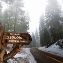 Sequoia National Park HD wallpapers