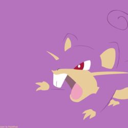 Rattata Pokemon HD Wallpapers