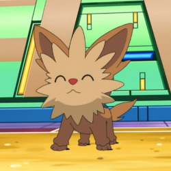 The Lillipup Evolutions image lenora’s lillipup HD wallpapers and