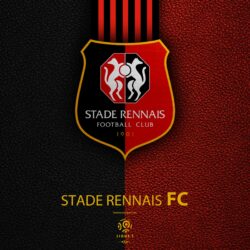 Download wallpapers Stade Rennais FC, 4K, French football club