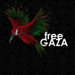 Gaza Wallpapers, HDQ Beautiful Gaza Image Wallpapers