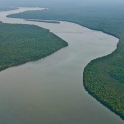 river amazon forest nature landscape tropical forest wallpapers and