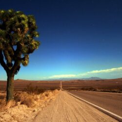 Joshua Tree National Park