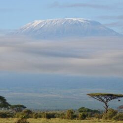 Best mount kilimanjaro