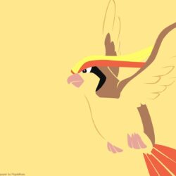 Pidgeot Pokemon HD Wallpapers