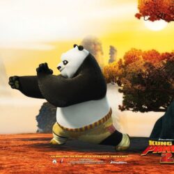 Po in Kung Fu Panda 2 Wallpapers