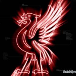 Liverpool FC backgrounds Liverpool FC wallpapers