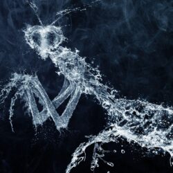 The figure of a praying mantis from the water wallpapers and image