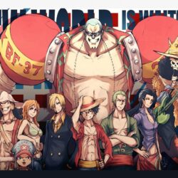 Monkey D Luffy Wallpapers : One Piece Crew Monkey D Luffy