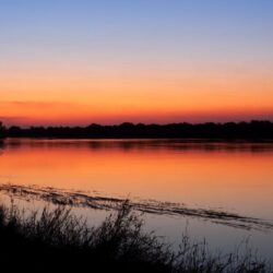Discover Lower Zambezi National Park