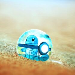Squirtle wallpapers : pokemon