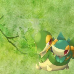 Image of Snivy Wallpapers