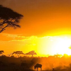 Kenya Sunset Wallpapers