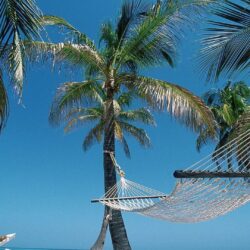 Nature beach hammock palm trees belize wallpapers