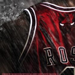 2013 Chicago Bulls Wallpapers HD 32 24589 Image HD Wallpapers