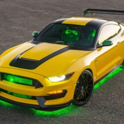 2016 Ford Shelby GT350 Mustang Ole Yeller Wallpapers