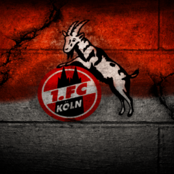 Download FC Cologne Logo Wallpapers Sport HD Picture Free Download
