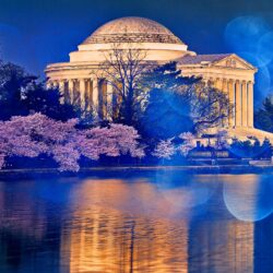 Thomas Jefferson Memorial Cherry Blossom ❤ 4K HD Desktop Wallpapers