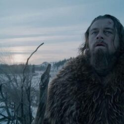 The Revenant wallpapers HD High Quality