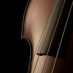 Double Bass