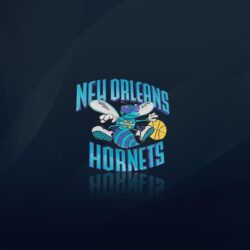 Charlotte Hornets Wallpapers HD Wallpapers