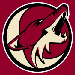 SportsNet Broadcaster Weighs In On Arizona Coyotes’ Future
