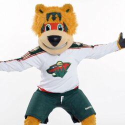 Minnesota Wild apologize after violent mascot skit sparks complaints