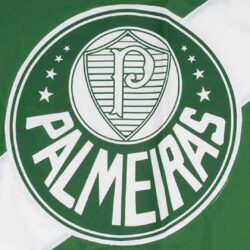 Palmeiras 2 Htc One M8 wallpapers