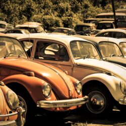 Old Volkswagen Beetle Junkyard HD desktop wallpapers : High