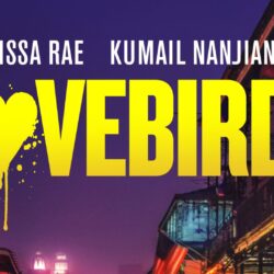 Paramount sells The Lovebirds to Netflix due to the theater