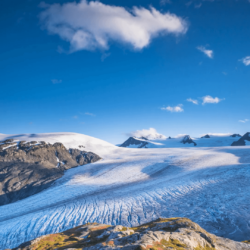 Exit Glacier and the Harding Icefield in Kenai Fjords National