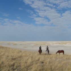 Kalahari Safari