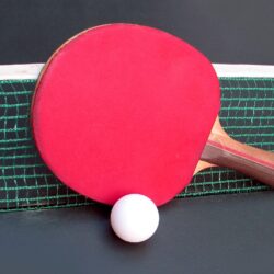 Red racket for table tennis at the net wallpapers and image