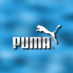 Puma wallpapers