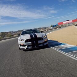 2016 Shelby GT350R Ford Mustang muscle gt350 wallpapers