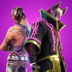 Masked Fury Skin