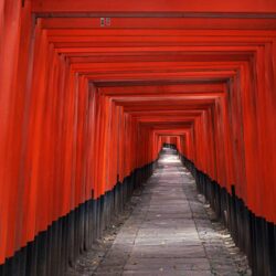 Japan fushimi inari shrine wallpapers