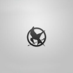 Mockingjay