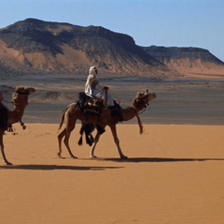 Lawrence Of Arabia Wallpapers and Backgrounds Image