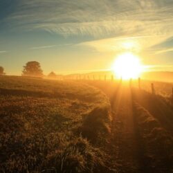 morning nature sun rays landscape sunlight field wallpapers and
