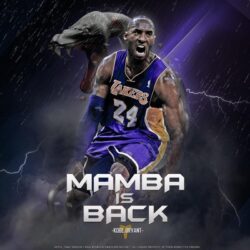 Kobe Bryant Mamba Is Back Wallpapers