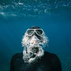 500+ Free Diving Pictures