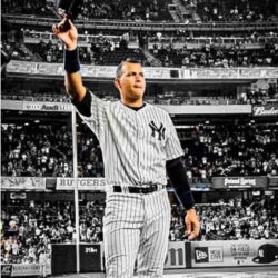 1035 best New York Yankees image