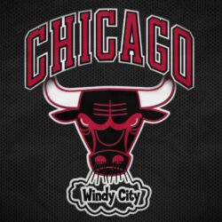 Chicago Bulls Best Picture Wallpapers Download