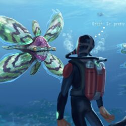 Subnautica HD Wallpapers and Backgrounds Image