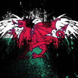 Flags Eagle Welsh Graffiti American
